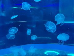 -龙谷湾旅游休闲度假区