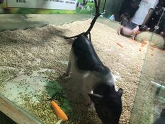 -梦幻海洋王国(吾悦广场张家港店)