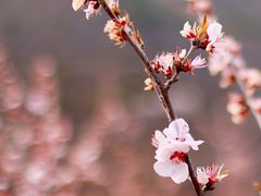 -居庸关长城