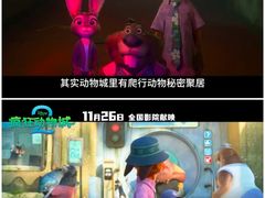 -奥斯卡升龙国际影城(RealD Cinema)