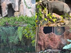 -长鹿旅游休博园
