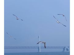 -星海广场