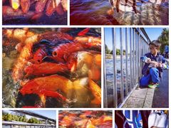 -奥林匹克森林公园南门-停车场