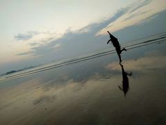 -马銮湾景区