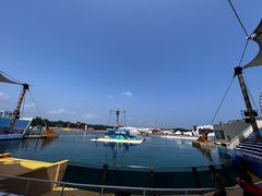 -秦皇岛乐岛海洋王国