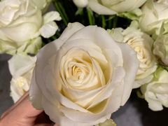 -ChaKo Flora ·茶子花艺 (市北店)