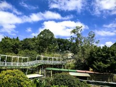 -深圳野生动物园