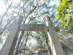 -上海佘山国家森林公园天马山园