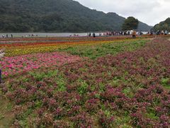 -广州市石门国家森林公园