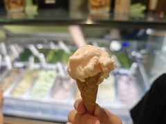 -鹤茶野所(上海首店)