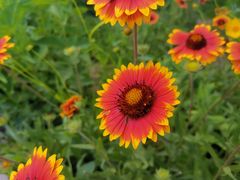 -永定河休闲森林公园