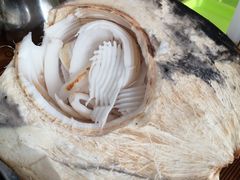 -15年老字号鑫鑫猪肚鸡·椰子鸡海南火锅(兴隆华侨农场店)