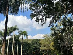 -深圳仙湖植物园