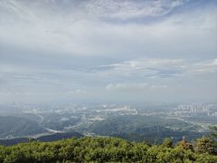 -黄埔油麻山森林公园