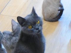 -觅时光手作·香薰·拼豆豆·陶艺DIY