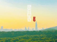 -灵谷景区