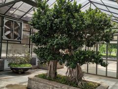-石家庄市植物园