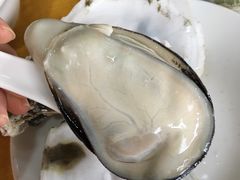 -蚝专家(北滘店)