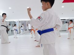 -极真空手道修远道场