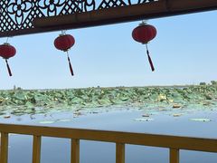 -白洋淀景区