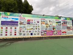 -广东花都香草世界旅游度假区