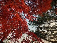 -虞山风景区