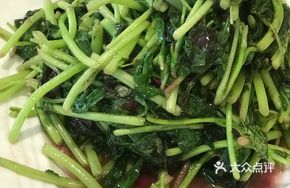 Fresh Seasonal Vegetables