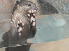 -哈尔滨波塞冬海底世界