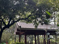 -南岗山公园