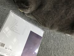 -Hi Fi Acoustic 梵香禅韵·色声香味