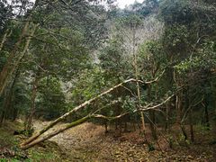 -五泄景区