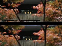 -苏州本色美术馆