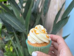 -caked(深圳购物公园店)