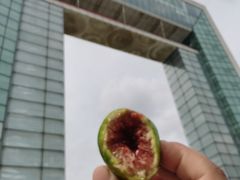-幸福门