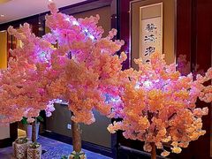 -陆地游轮西山温泉号