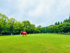 -东钱湖旅游度假区