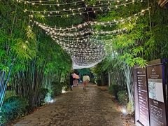 -崇阳三特浪口温泉