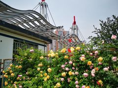 -太阳宫公园