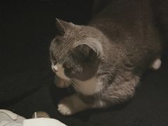 -盛邦家居建材广场