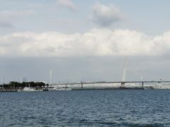 -深圳湾公园(南山区)