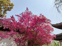 -沙家浜风景区