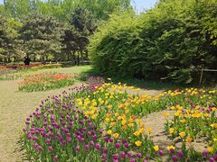 -长春公园(普阳街道)