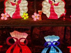 -南宫五洲植物乐园