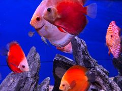 -威海华夏城景区