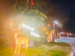 -延长壳牌加油站(长安南路电视塔站)