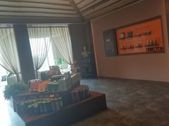 -端艾堂·SPA·艾灸(棕榈泉013店)