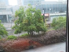 -东园小馆·早茶·淮扬小炒(水街店)