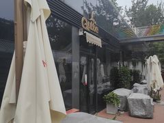-金尚源SHANG