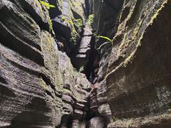 -梭布垭石林景区