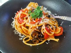 -百好乐宠物友好餐厅(朝外大街店)